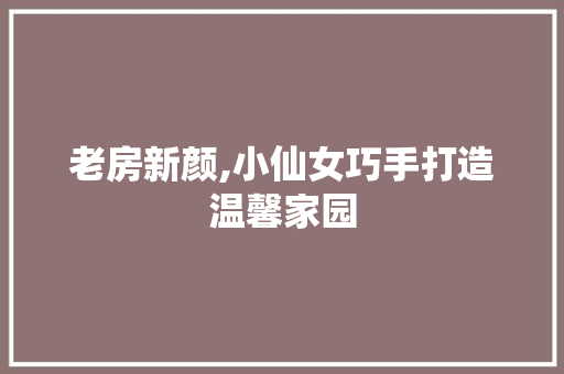 老房新颜,小仙女巧手打造温馨家园 厨房维修