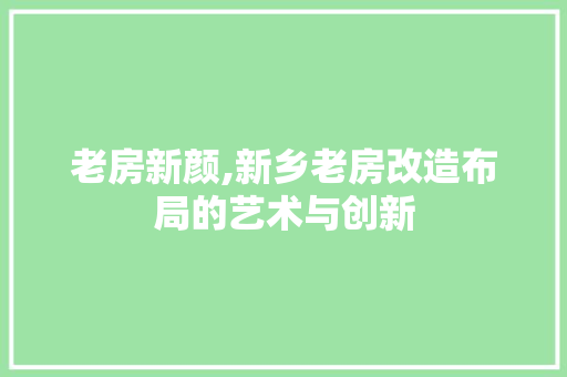 老房新颜,新乡老房改造布局的艺术与创新 墙体维修