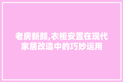 老房新颜,衣柜安置在现代家居改造中的巧妙运用 汽车维修