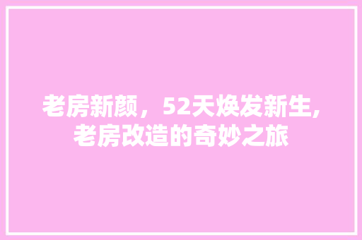 老房新颜，52天焕发新生,老房改造的奇妙之旅