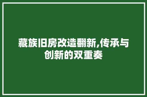 藏族旧房改造翻新,传承与创新的双重奏