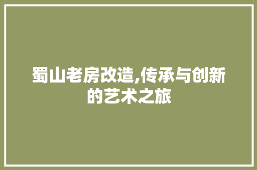 蜀山老房改造,传承与创新的艺术之旅 厨房维修