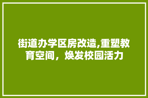 街道办学区房改造,重塑教育空间，焕发校园活力