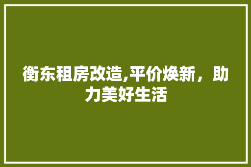 衡东租房改造,平价焕新，助力美好生活