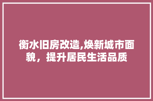 衡水旧房改造,焕新城市面貌，提升居民生活品质