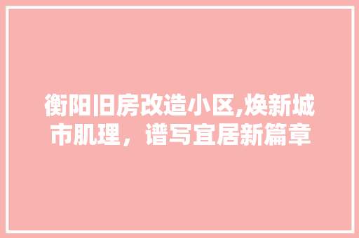 衡阳旧房改造小区,焕新城市肌理，谱写宜居新篇章 汽车维修