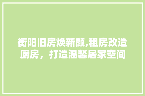 衡阳旧房焕新颜,租房改造厨房，打造温馨居家空间 汽车维修