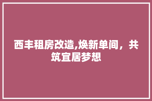西丰租房改造,焕新单间，共筑宜居梦想