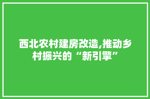 西北农村建房改造,推动乡村振兴的“新引擎”