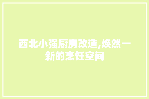 西北小强厨房改造,焕然一新的烹饪空间 家电维修