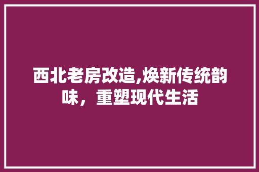 西北老房改造,焕新传统韵味，重塑现代生活 家电维修