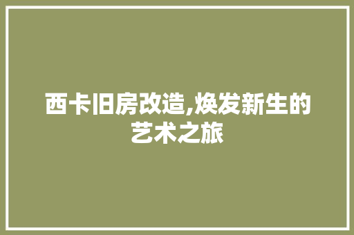 西卡旧房改造,焕发新生的艺术之旅 墙体维修