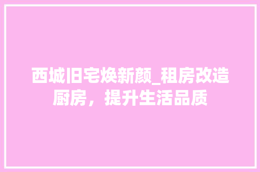 西城旧宅焕新颜_租房改造厨房，提升生活品质