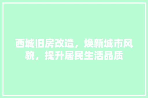西城旧房改造，焕新城市风貌，提升居民生活品质 家电维修