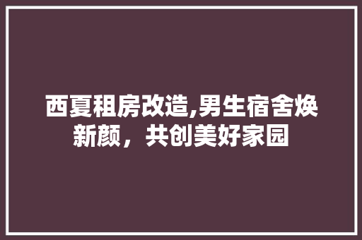 西夏租房改造,男生宿舍焕新颜，共创美好家园