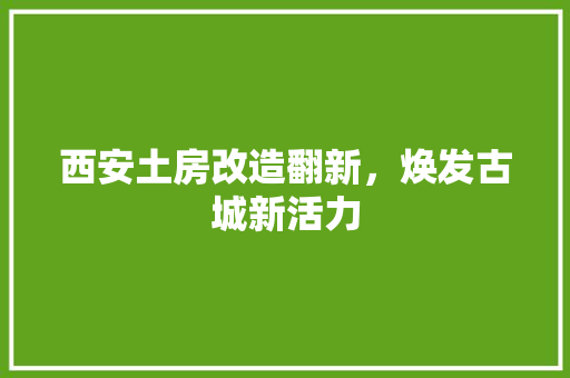 西安土房改造翻新，焕发古城新活力