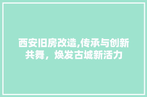 西安旧房改造,传承与创新共舞，焕发古城新活力