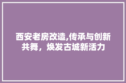 西安老房改造,传承与创新共舞，焕发古城新活力
