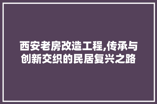 西安老房改造工程,传承与创新交织的民居复兴之路
