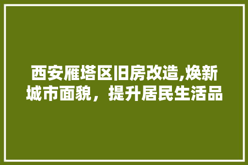 西安雁塔区旧房改造,焕新城市面貌，提升居民生活品质 汽车维修