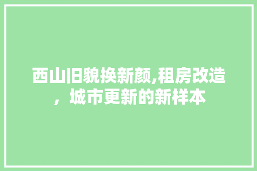 西山旧貌换新颜,租房改造，城市更新的新样本 墙体维修