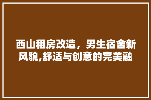 西山租房改造，男生宿舍新风貌,舒适与创意的完美融合