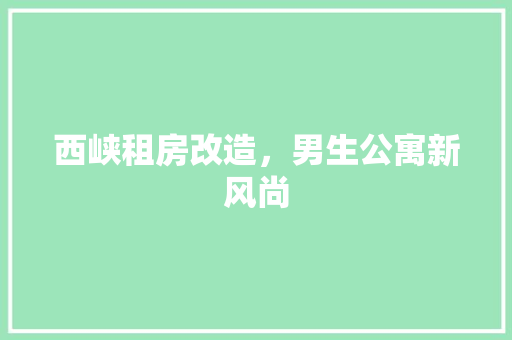 西峡租房改造，男生公寓新风尚 墙体维修