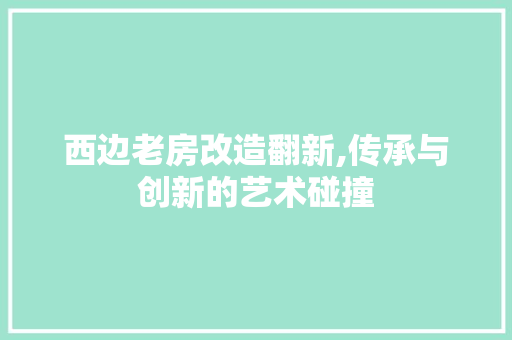 西边老房改造翻新,传承与创新的艺术碰撞