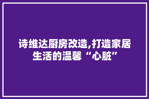 诗维达厨房改造,打造家居生活的温馨“心脏”