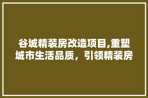 谷城精装房改造项目,重塑城市生活品质，引领精装房市场新潮流