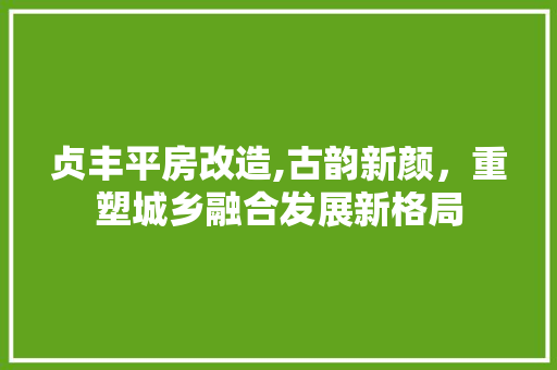 贞丰平房改造,古韵新颜，重塑城乡融合发展新格局