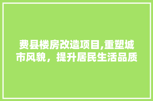 费县楼房改造项目,重塑城市风貌，提升居民生活品质