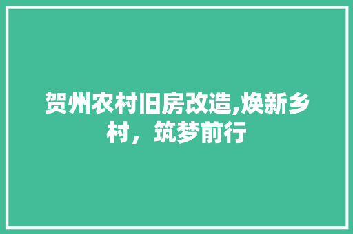 贺州农村旧房改造,焕新乡村，筑梦前行