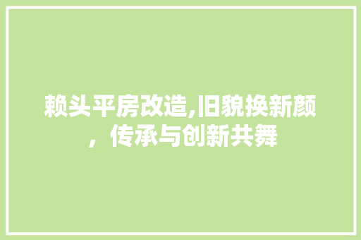 赖头平房改造,旧貌换新颜，传承与创新共舞 墙体维修