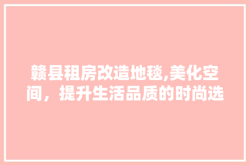 赣县租房改造地毯,美化空间，提升生活品质的时尚选择
