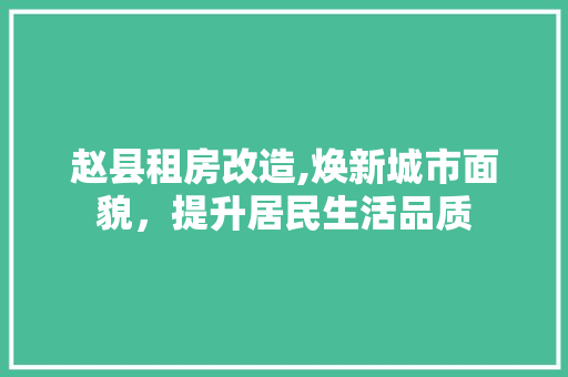 赵县租房改造,焕新城市面貌，提升居民生活品质 家电维修