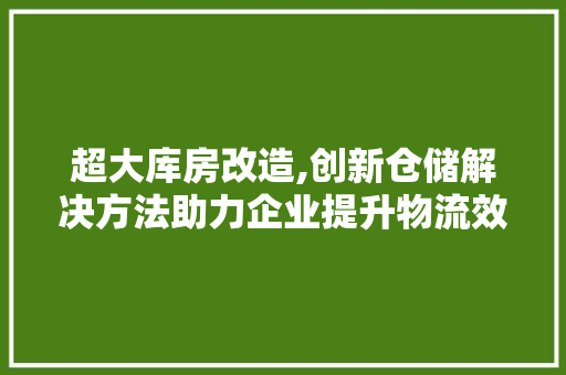超大库房改造,创新仓储解决方法助力企业提升物流效率 墙体维修
