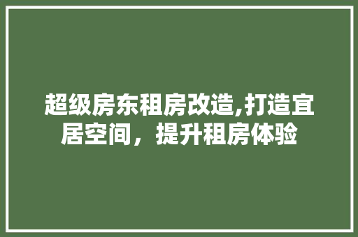 超级房东租房改造,打造宜居空间，提升租房体验