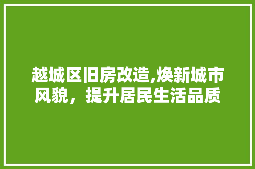 越城区旧房改造,焕新城市风貌，提升居民生活品质