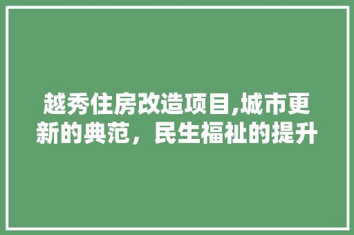 越秀住房改造项目,城市更新的典范，民生福祉的提升