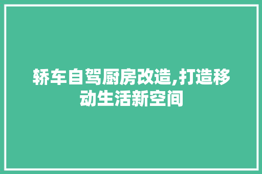 轿车自驾厨房改造,打造移动生活新空间
