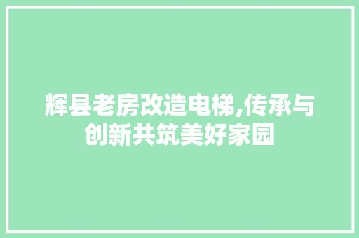 辉县老房改造电梯,传承与创新共筑美好家园 家电维修