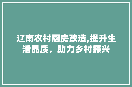 辽南农村厨房改造,提升生活品质，助力乡村振兴 厨房维修