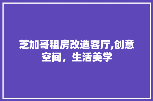 芝加哥租房改造客厅,创意空间，生活美学