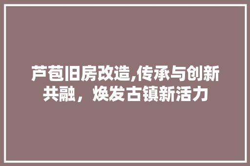 芦苞旧房改造,传承与创新共融，焕发古镇新活力 综合便民