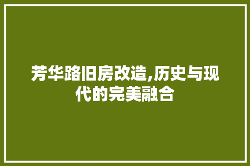 芳华路旧房改造,历史与现代的完美融合 家电维修