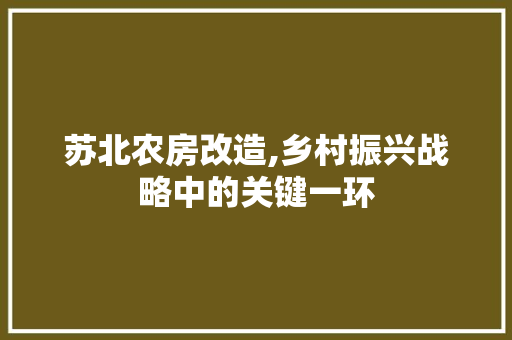 苏北农房改造,乡村振兴战略中的关键一环