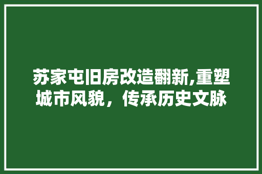 苏家屯旧房改造翻新,重塑城市风貌，传承历史文脉
