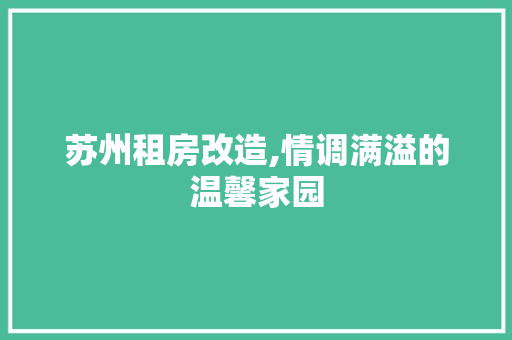 苏州租房改造,情调满溢的温馨家园