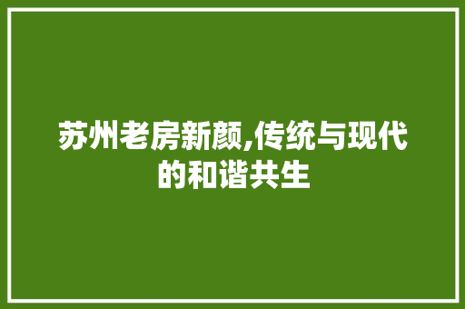 苏州老房新颜,传统与现代的和谐共生